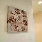 Rosabianca 4* Rimini
